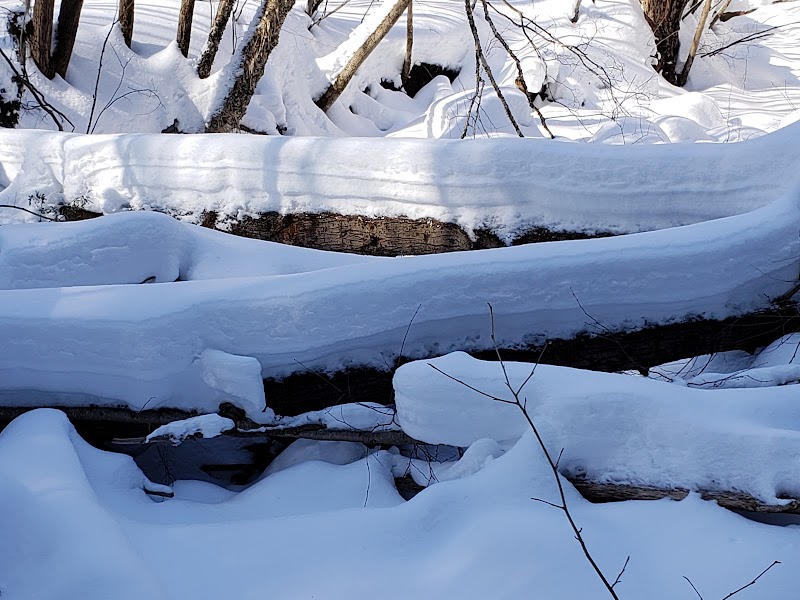Natural Trails & Serenity at Wilderness Park, Utica surrounding landscape
