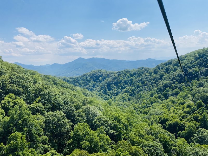 Ziplining Adventure with Navitat Canopy in Asheville - Asheville