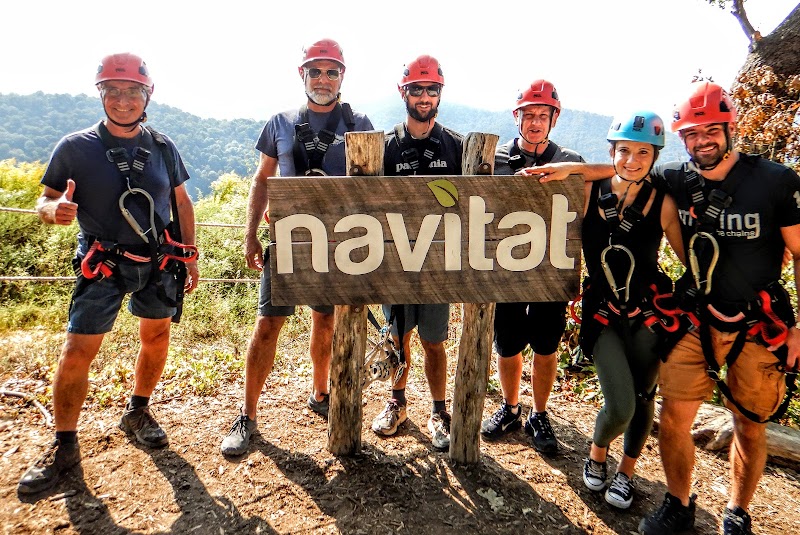 Ziplining Adventure with Navitat Canopy in Asheville - Asheville