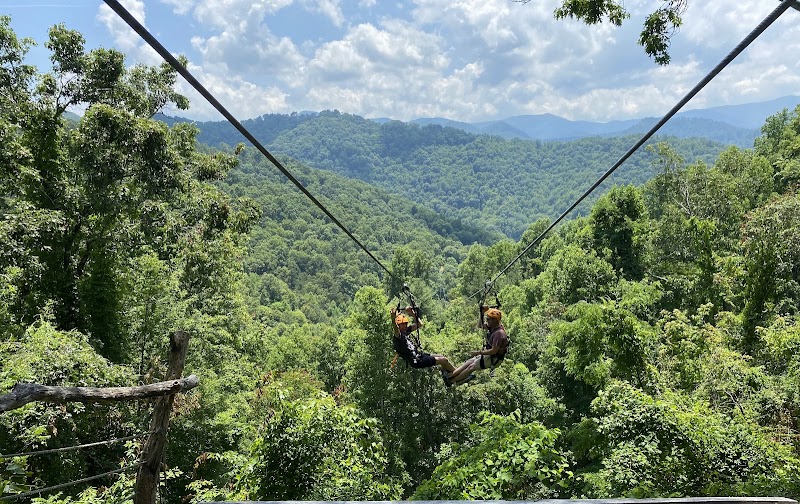 Ziplining Adventure with Navitat Canopy in Asheville - Asheville