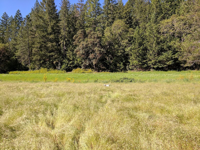 Mountain Biking & Hiking in Las Posadas State Forest near Angwin, CA - Las Posadas State Forest