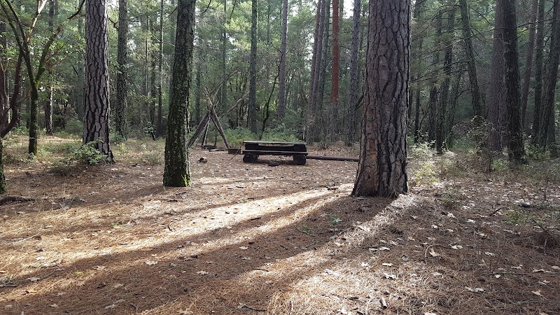 Mountain Biking & Hiking in Las Posadas State Forest near Angwin, CA - Las Posadas State Forest