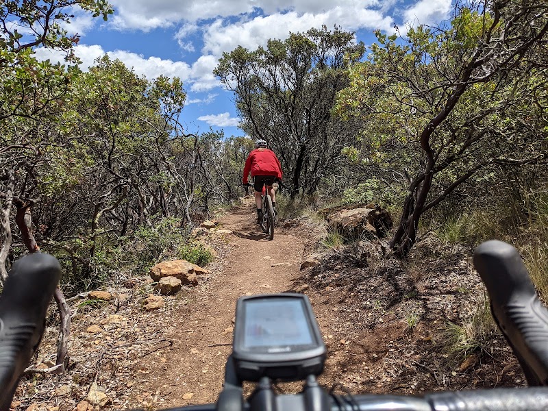 Mountain Biking & Hiking in Las Posadas State Forest near Angwin, CA - Las Posadas State Forest