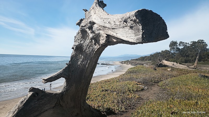 Coastal Nature & Tar Pits Park in Carpinteria, California outdoor detail