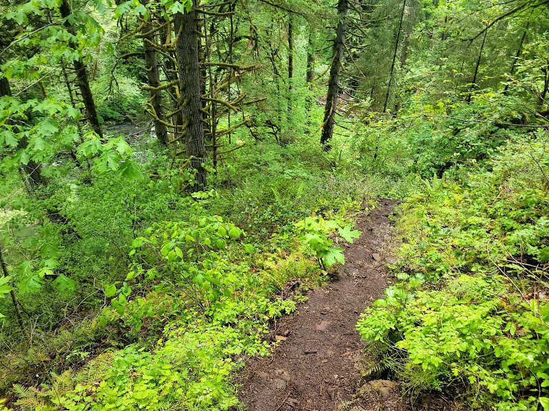 Waterfall Wonder & Hiking Gem at Beaver Falls Trailhead - Beaver Falls Trailhead