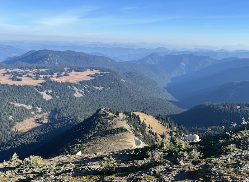 Hiking to Mount Fremont Lookout Trail in Ashford, Washington - Mount Fremont Lookout Trail