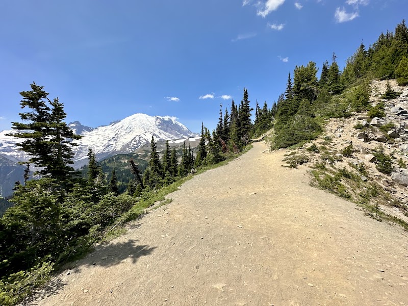 Hiking to Mount Fremont Lookout Trail in Ashford, Washington - Mount Fremont Lookout Trail