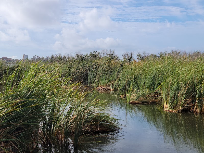 Birdwatching & Nature at South Padre Island - South Padre Island Birding And Nature Center