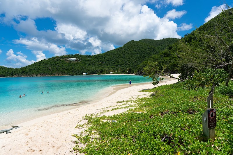 Tropical Beach Paradise at Hawksnest Beach, St John - Hawksnest Beach