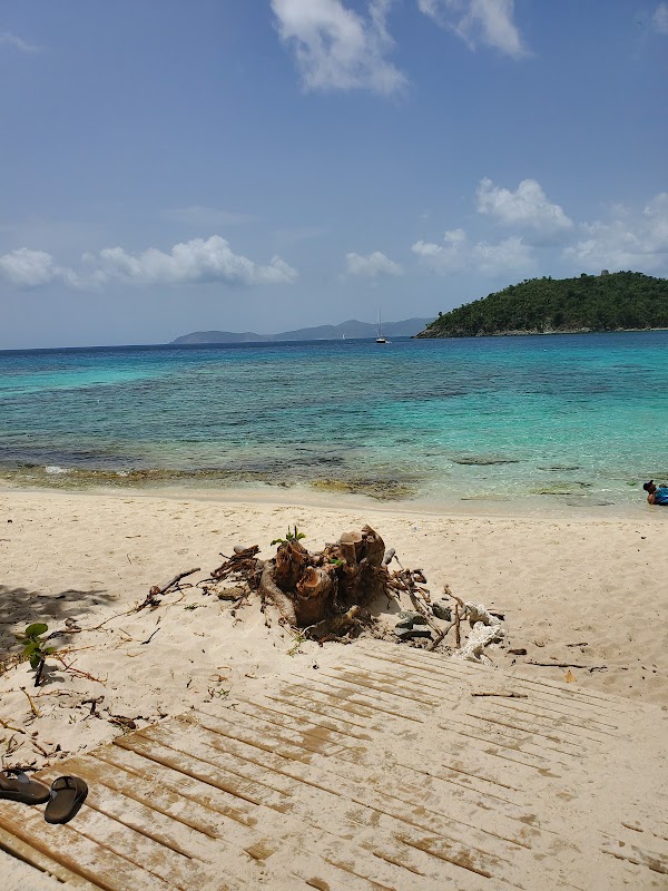 Tropical Beach Paradise at Hawksnest Beach, St John - Hawksnest Beach