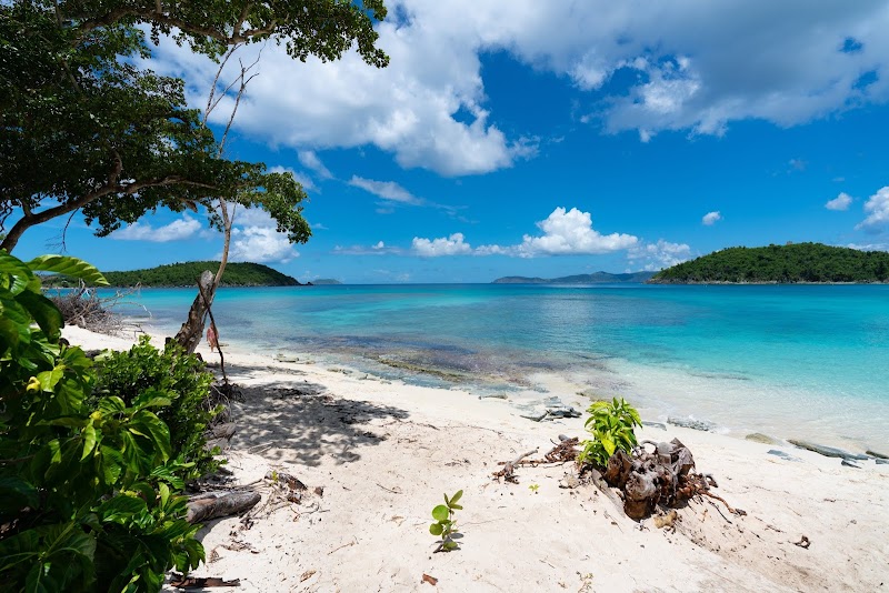 Tropical Beach Paradise at Hawksnest Beach, St John - Hawksnest Beach