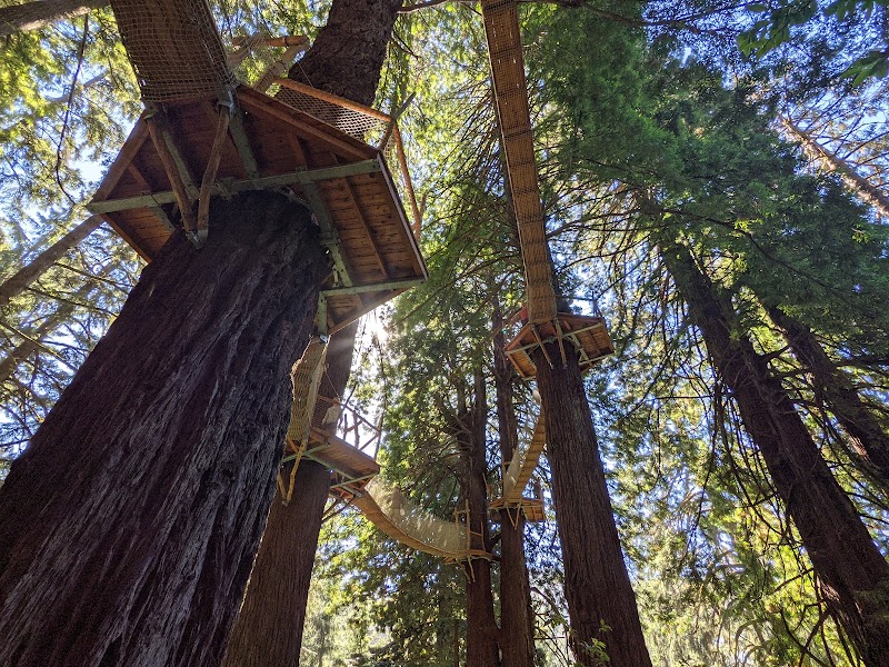 Unique Redwood Adventure at Trees of Mystery, Klamath, California surrounding landscape