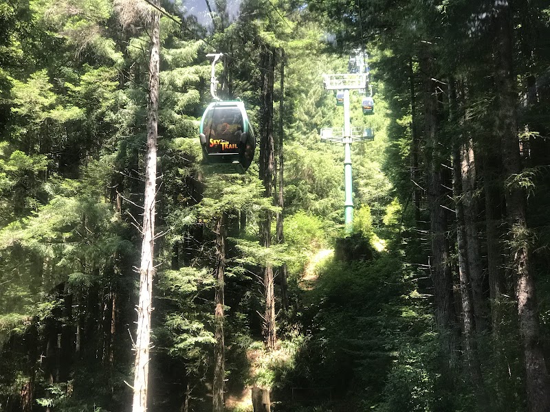 Unique Redwood Adventure at Trees of Mystery, Klamath, California - Trees of Mystery