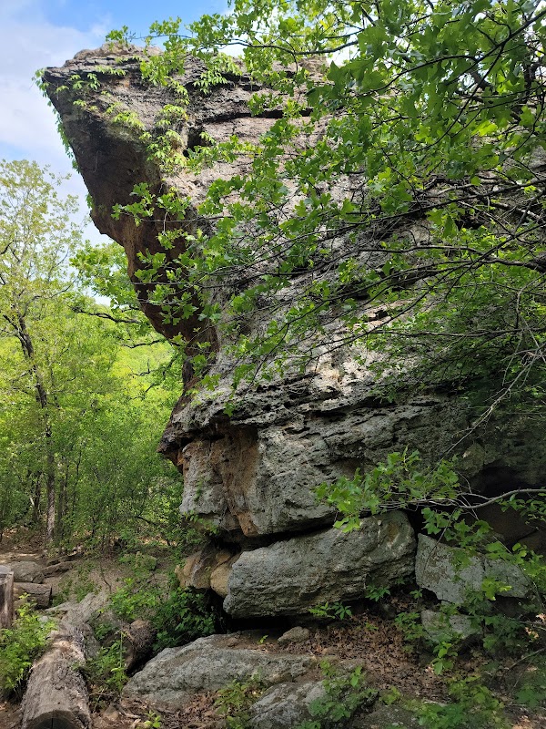 Natural Adventure at Lake Mineral Wells State Park, Texas - Lake Mineral Wells State Park
