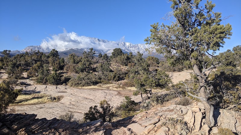 Unique Geological Wonders of Yant Flat in Utah surrounding landscape