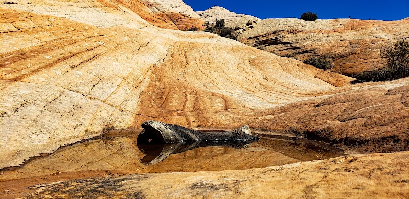 Unique Geological Wonders of Yant Flat in Utah outdoor detail