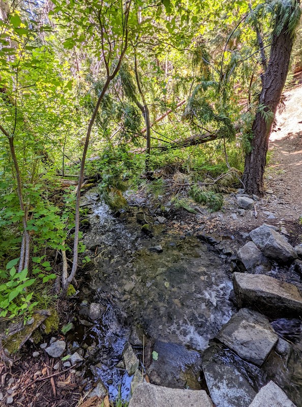 Hiking Sierra Canyon Trailhead Near Carson City, Nevada surrounding landscape