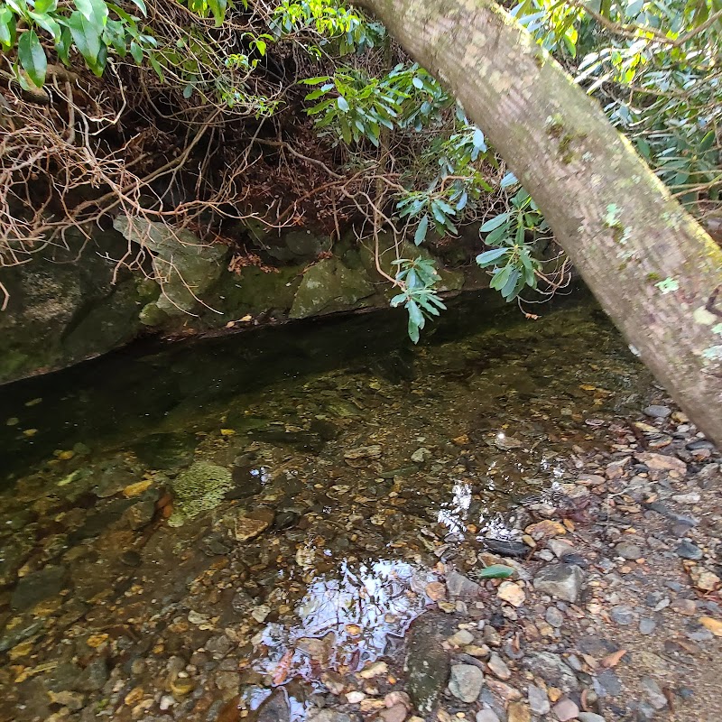 Waterfall Wonder: Bubbling Spring Falls near Canton, NC surrounding landscape
