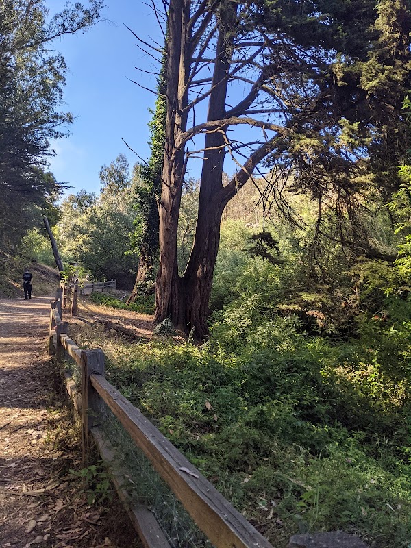 Hiking Glen Canyon Creeks to Peaks Trailhead in San Francisco - Glen Canyon Creeks to Peaks Trailhead