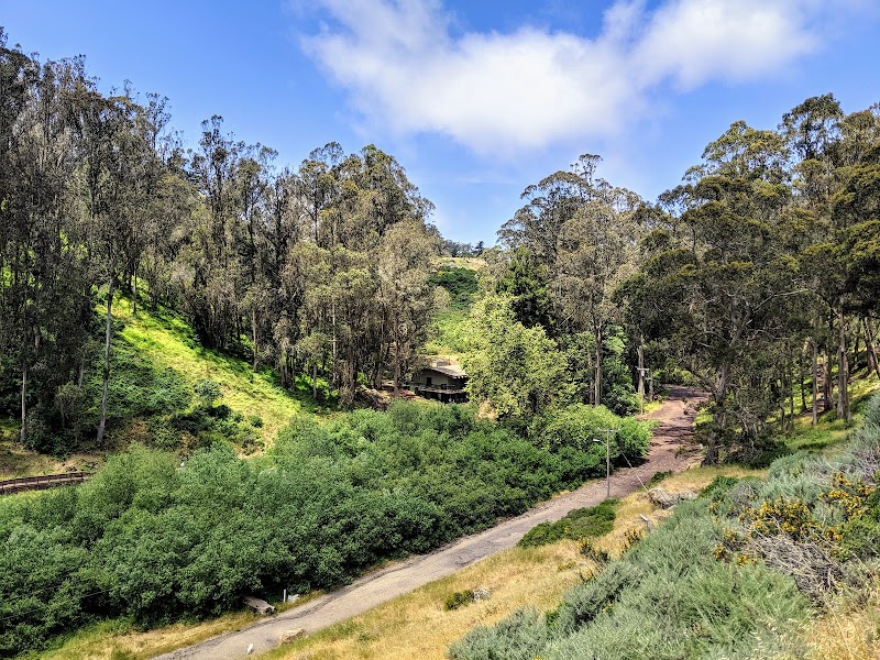 Hiking Glen Canyon Creeks to Peaks Trailhead in San Francisco - Glen Canyon Creeks to Peaks Trailhead