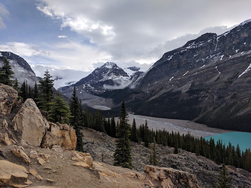 Glacial Marvel at Peyto Lake in Alberta, Canada - Peyto Lake