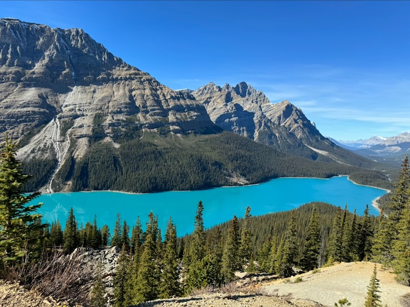 Glacial Marvel at Peyto Lake in Alberta, Canada - Peyto Lake
