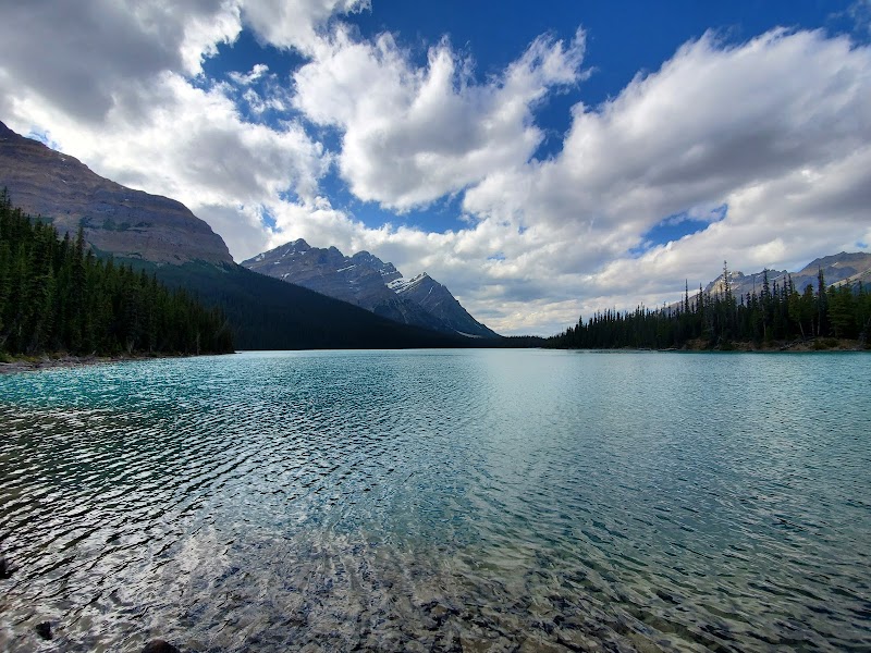 Glacial Marvel at Peyto Lake in Alberta, Canada - Peyto Lake
