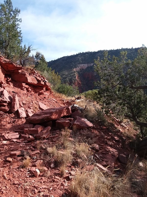 Mogollon Rim National Forest adventures