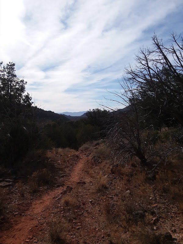 Scenic Hiking at Woods Canyon Trail, Arizona - Woods Canyon Trail