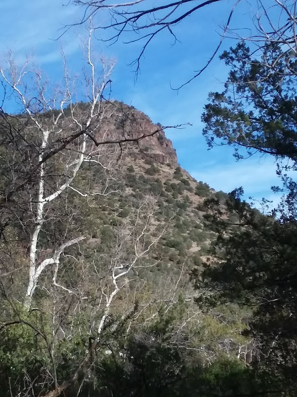 Scenic Hiking at Woods Canyon Trail, Arizona surrounding landscape