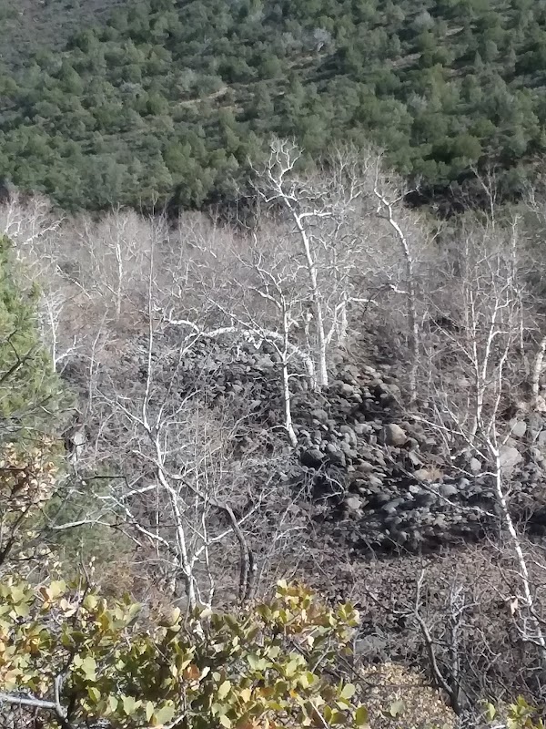 Scenic Hiking at Woods Canyon Trail, Arizona outdoor detail
