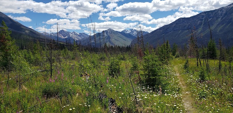 Scenic Hiking at Simpson River Trailhead, East Kootenay, BC - Simpson River Trailhead