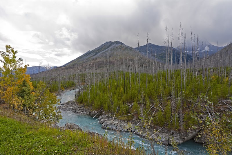 Scenic Hiking at Floe Lake Trailhead in British Columbia - Floe Lake Trailhead