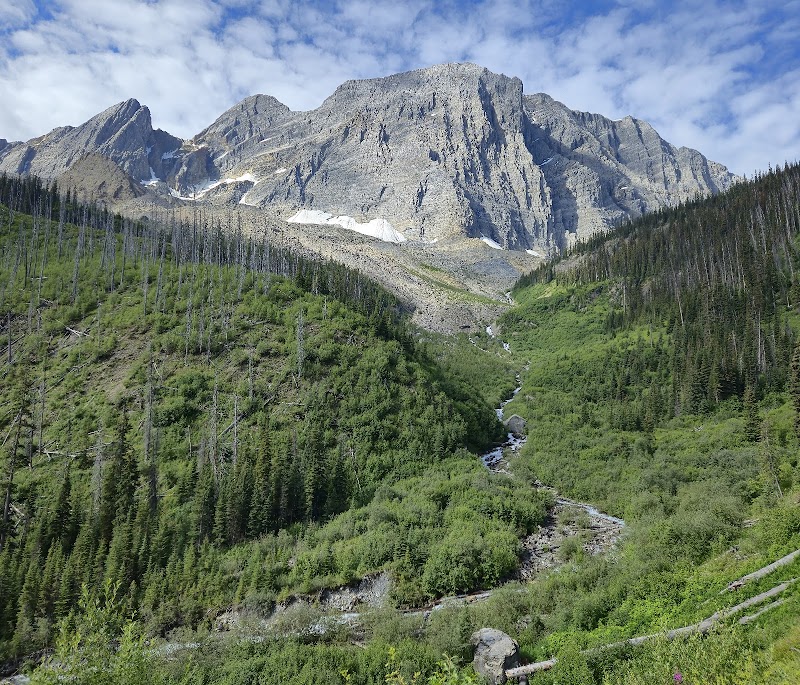 Scenic Hiking at Floe Lake Trailhead in British Columbia - Floe Lake Trailhead