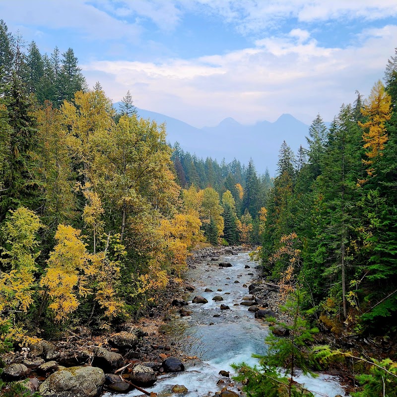Riverside Hiking at Kaslo River Trail, British Columbia - Kaslo River Trail