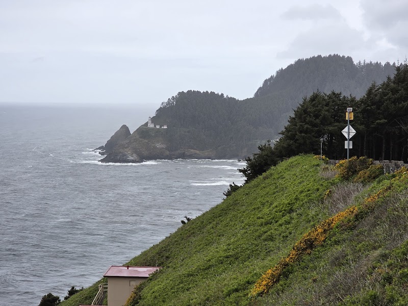 Coastal Beauty at Heceta Head Lighthouse Trailhead outdoor detail