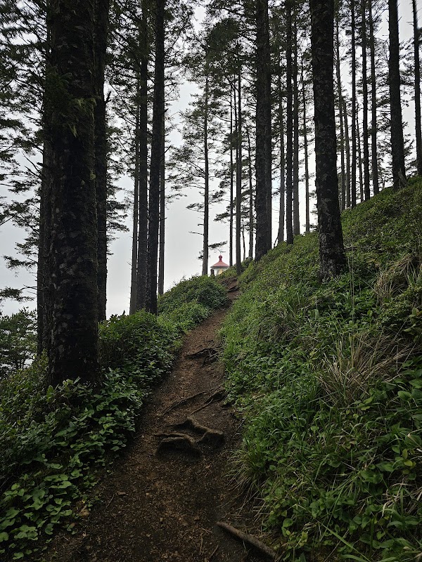 Coastal Beauty at Heceta Head Lighthouse Trailhead - Heceta Head Lighthouse Trailhead