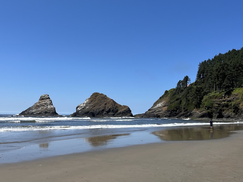 Coastal Beauty at Heceta Head Lighthouse Trailhead - Heceta Head Lighthouse Trailhead