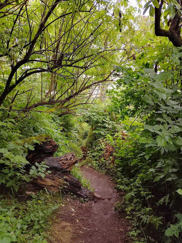 Outdoor Adventure & Scenic Views at Cascade Head, Oregon Coast - Cascade Head