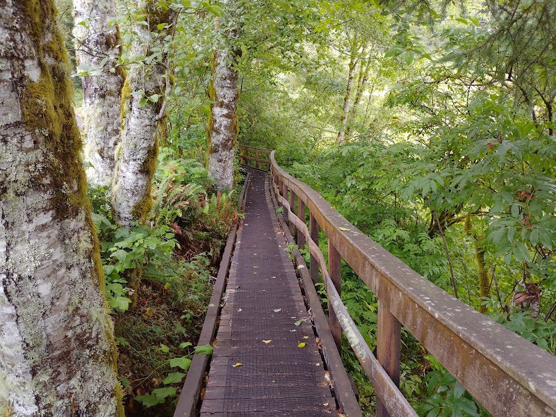 Coastal Hiking & Scenic Views at Cascade Head Preserve - Upper Trailhead outdoor detail