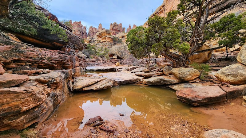 Stunning Canyon Landscapes of Needles District, Canyonlands - Needles District Canyonlands
