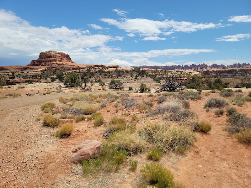 Stunning Canyon Landscapes of Needles District, Canyonlands outdoor detail