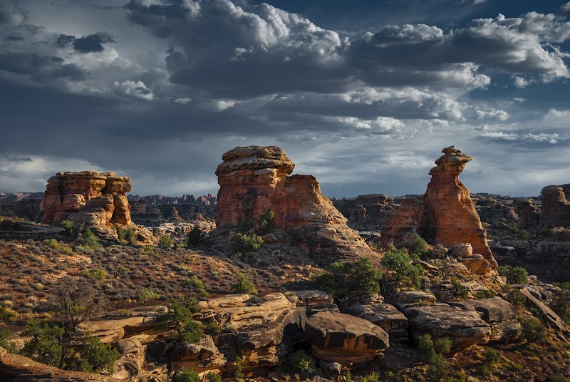 Stunning Canyon Landscapes of Needles District, Canyonlands - Needles District Canyonlands