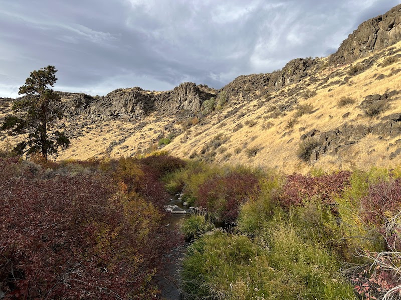 Discover Natural Beauty at Cowiche Canyon & Uplands Trails, Yakima - Cowiche Canyon & Uplands Trails