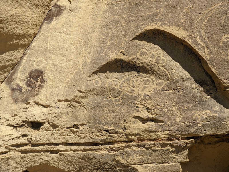 Canyon Pintado South Orientation Site – A Window to Ancient Rock Art in Rangely, Colorado - Canyon Pintado South Orientation Site