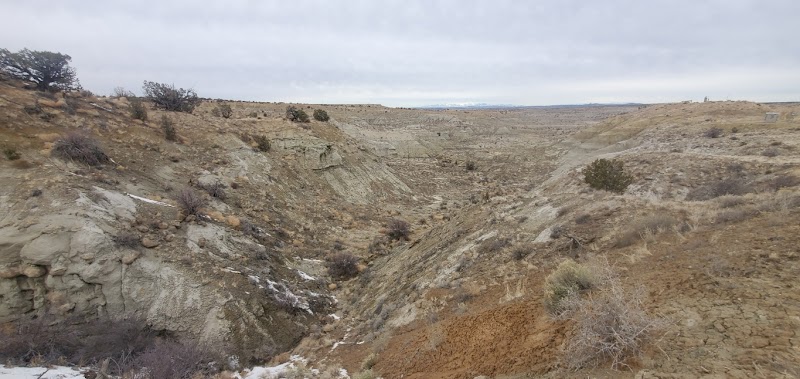 Paleontological Wonders of Kutz Canyon Near Bloomfield, NM - Kutz Canyon Paleontological Area