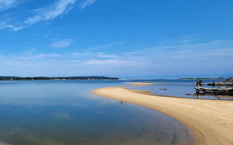 Island Shoreline & Marine Wildlife at Shark Tooth Island - Shark Tooth Island