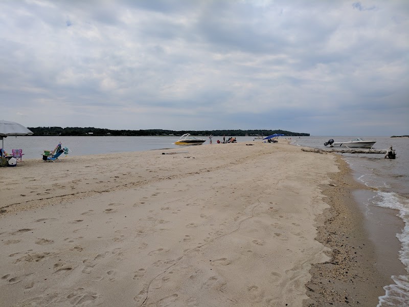 Island Shoreline & Marine Wildlife at Shark Tooth Island - Shark Tooth Island