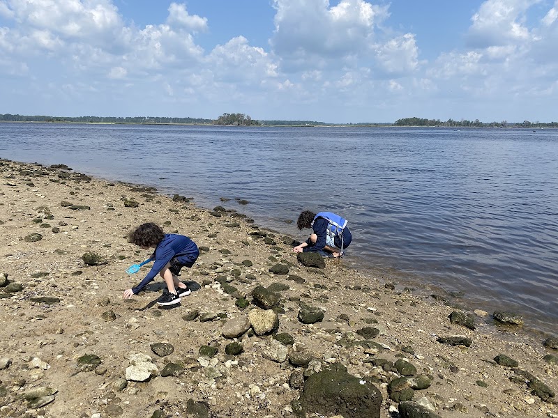 Fossil Hunting & Kayaking at Shark Tooth Island, Wilmington, NC - Shark Tooth Island