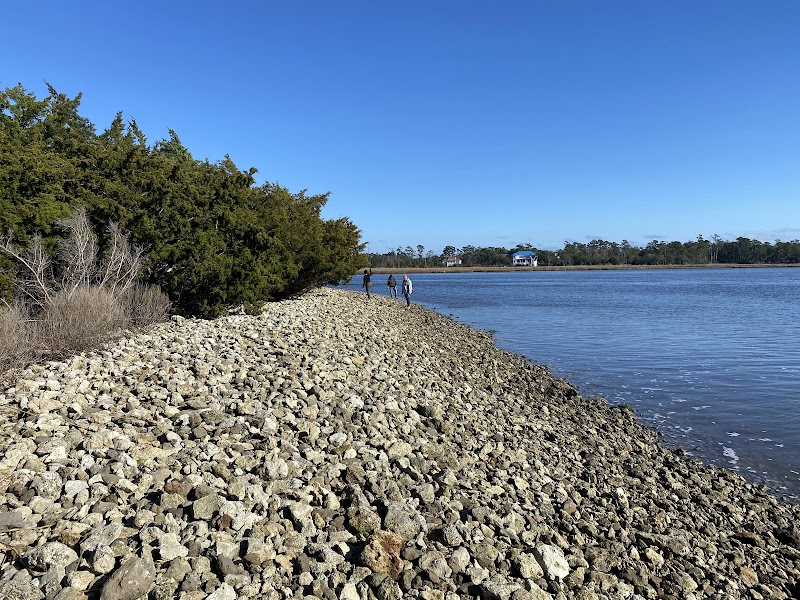 Fossil Hunting & Kayaking at Shark Tooth Island, Wilmington, NC - Shark Tooth Island
